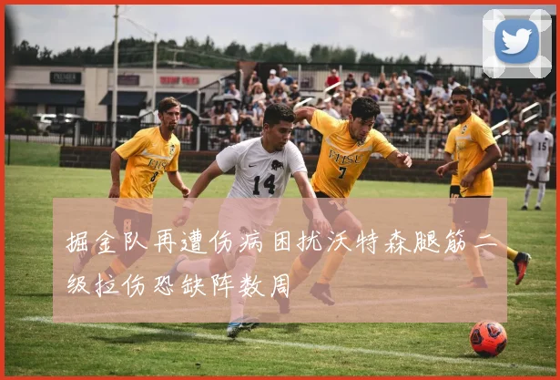 掘金队再遭伤病困扰沃特森腿筋二级拉伤恐缺阵数周