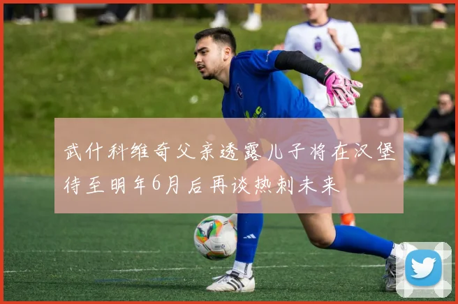 武什科维奇父亲透露儿子将在汉堡待至明年6月后再谈热刺未来